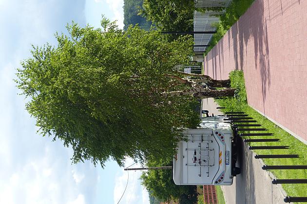 Nowa droga pieszo-rowerowa na ul. Glinianej