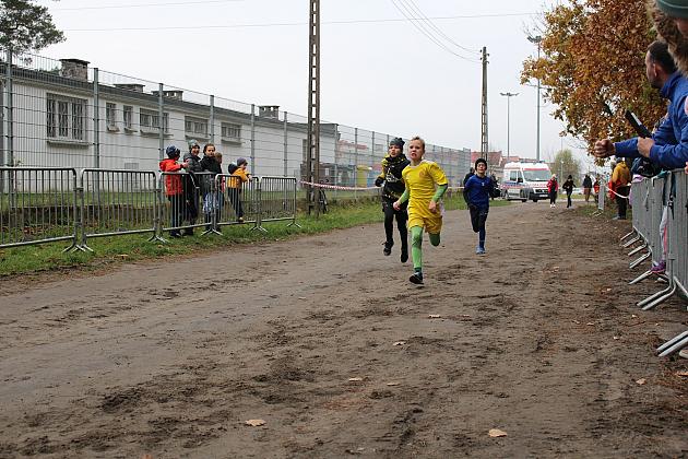 Pobiegli z okazji Święta Niepodległości