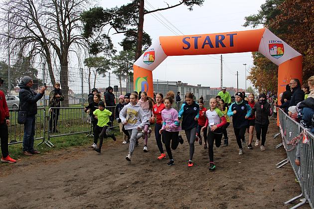 Pobiegli z okazji Święta Niepodległości