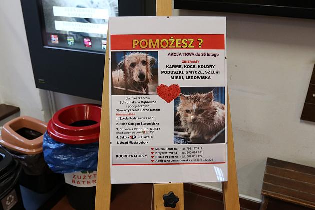 W ratuszu ruszyła zbiórka dla zwierząt