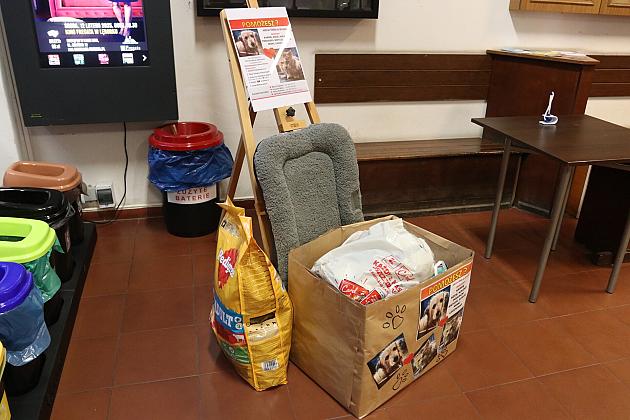 W ratuszu trwa zbiórka dla zwierząt. Są już pierwsze efekty