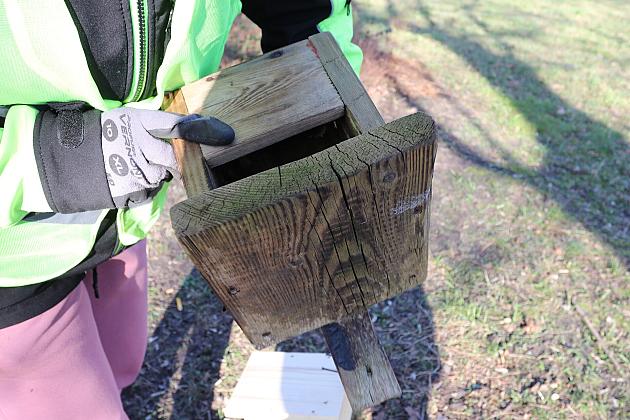 Nowe budki lęgowe dla ptaków już na drzewach