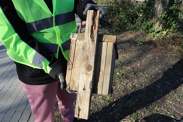 Nowe budki lęgowe dla ptaków już na drzewach