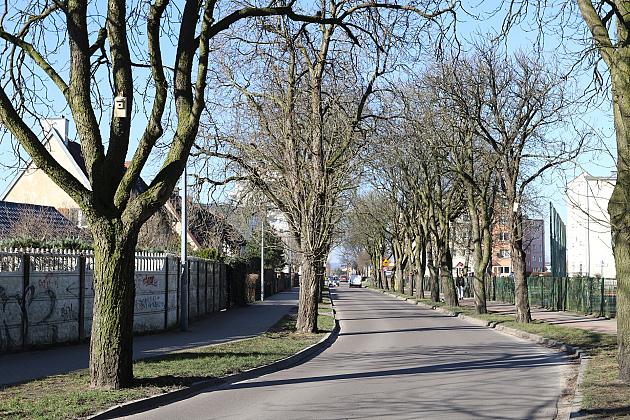 Nowe budki lęgowe dla ptaków już na drzewach