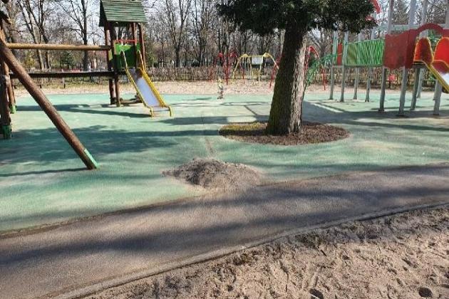 Wiosenne sprzątanie Lęborka rozpoczęte!