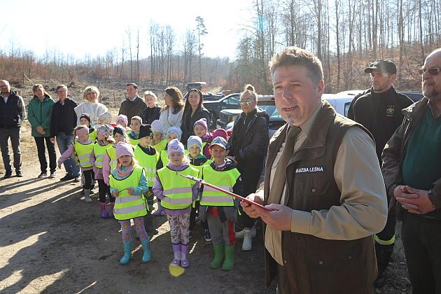 Wielka akcja wspólnego sadzenia lasu w Nadleśnictwie Lębork