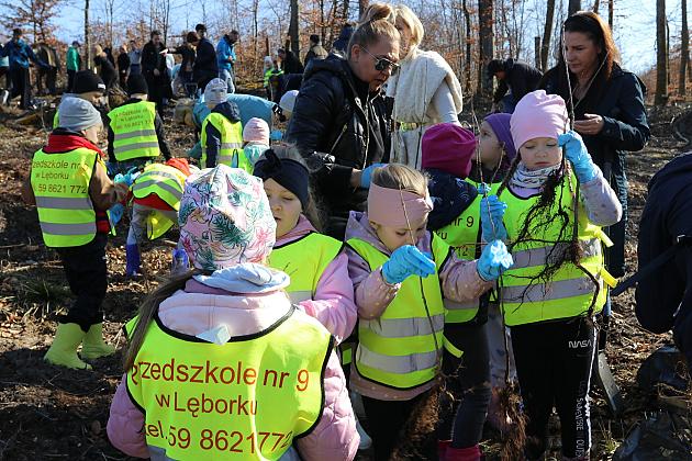 Wielka akcja wspólnego sadzenia lasu w Nadleśnictwie Lębork