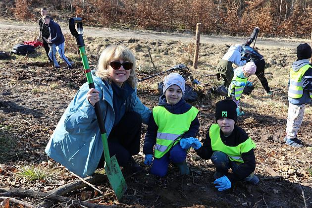 Wielka akcja wspólnego sadzenia lasu w Nadleśnictwie Lębork