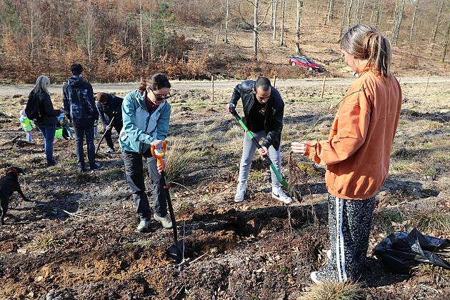 Wielka akcja wspólnego sadzenia lasu w Nadleśnictwie Lębork