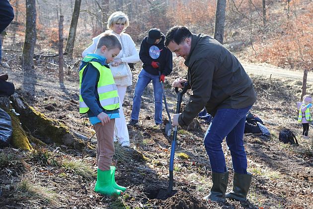 Wielka akcja wspólnego sadzenia lasu w Nadleśnictwie Lębork