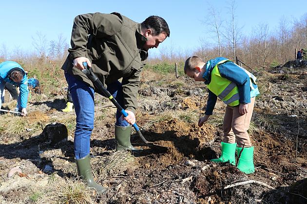 Wielka akcja wspólnego sadzenia lasu w Nadleśnictwie Lębork