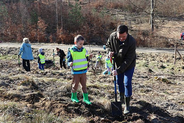Wielka akcja wspólnego sadzenia lasu w Nadleśnictwie Lębork