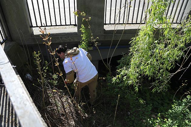 Mieszkańcy ruszyli nad Łebę – wspólne sprzątanie w ramach „Operacji Czysta Rzeka”