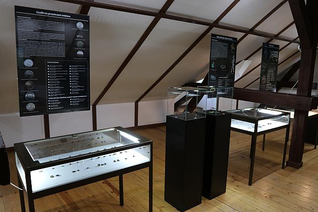 Zapraszamy do obejrzenia ciekawej wystawy w Muzeum w Lęborku