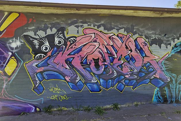 Bitwa o Miasto Lębork 2025 – eksplozja kolorów i serc