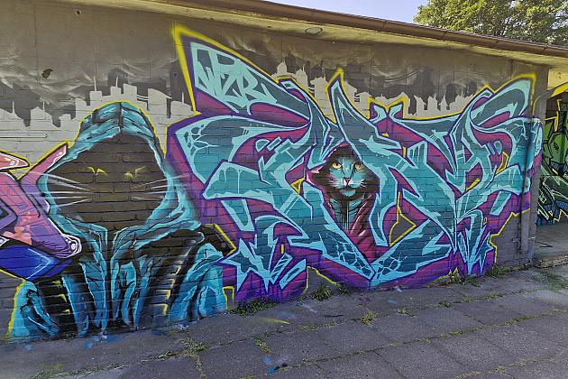 Bitwa o Miasto Lębork 2025 – eksplozja kolorów i serc