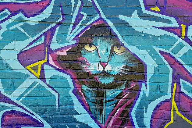 Bitwa o Miasto Lębork 2025 – eksplozja kolorów i serc