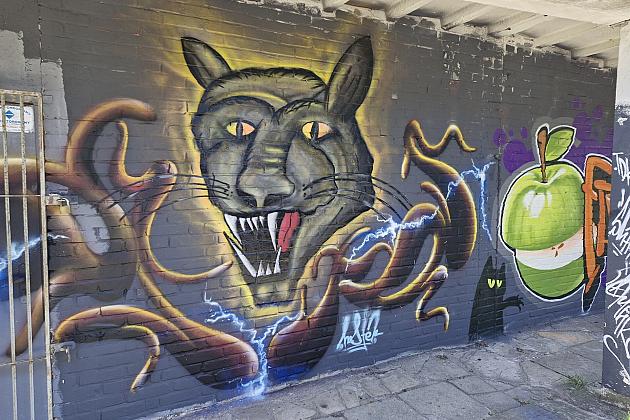 Bitwa o Miasto Lębork 2025 – eksplozja kolorów i serc