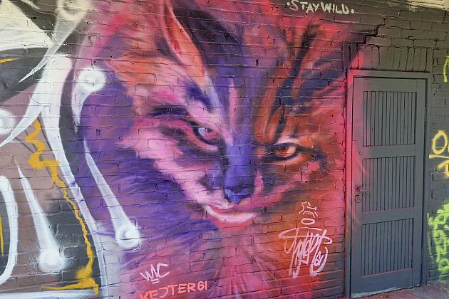 Bitwa o Miasto Lębork 2025 – eksplozja kolorów i serc