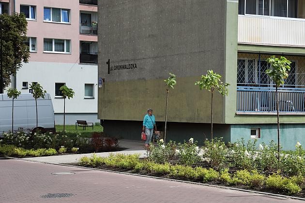 Zieleń wraca do centrum Lęborka