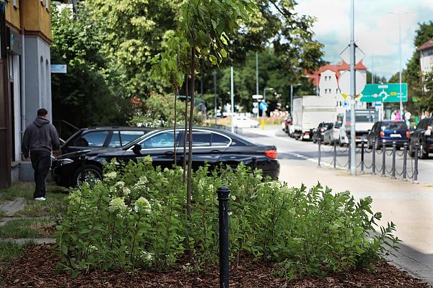 Zieleń wraca do centrum Lęborka