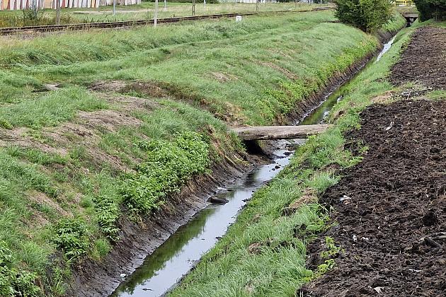 Skuteczna ochrona przed nadmiarem wody - trwa konserwacja rowów melioracyjnych