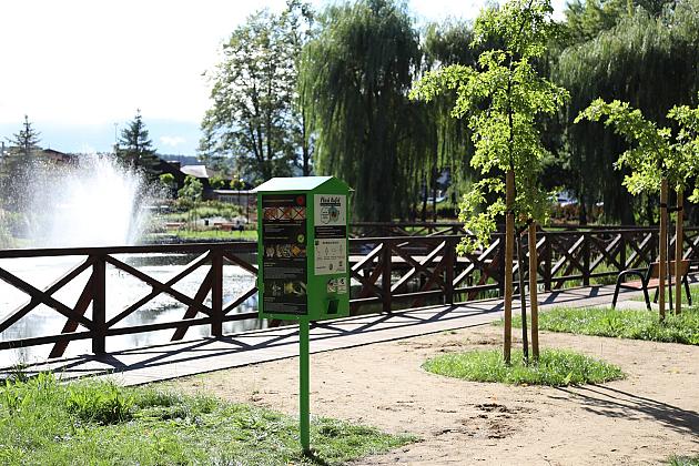 Ptasi bufet w Parku im. Marii i Lecha Kaczyńskich