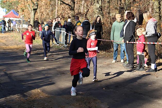 Świętowanie niepodległości na sportowo – 240 uczestników w Biegu o Grand Prix Lęborka
