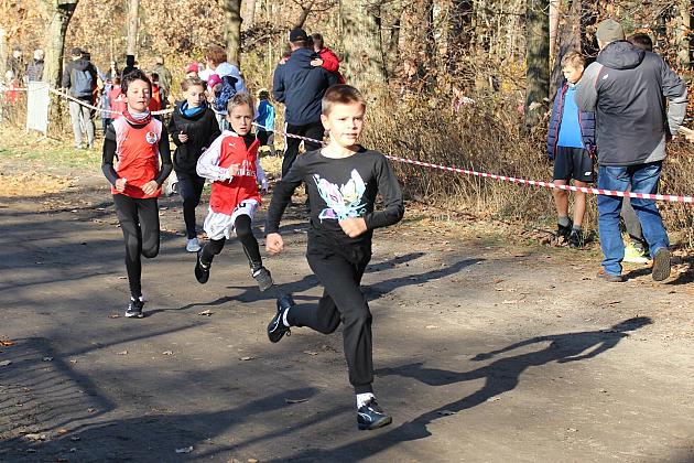 Świętowanie niepodległości na sportowo – 240 uczestników w Biegu o Grand Prix Lęborka