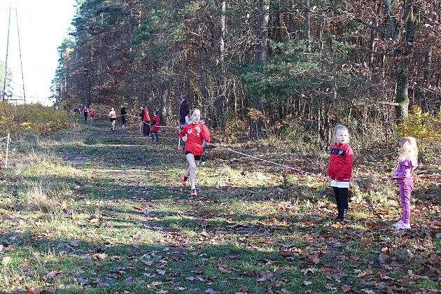 Świętowanie niepodległości na sportowo – 240 uczestników w Biegu o Grand Prix Lęborka