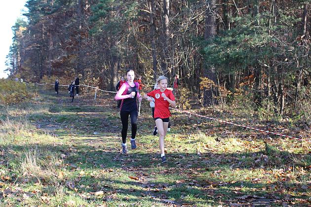 Świętowanie niepodległości na sportowo – 240 uczestników w Biegu o Grand Prix Lęborka