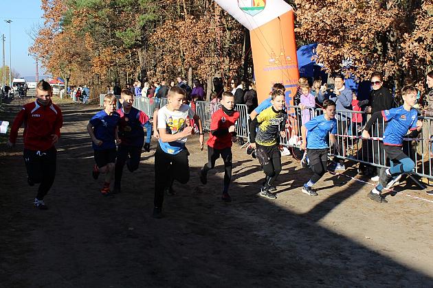 Świętowanie niepodległości na sportowo – 240 uczestników w Biegu o Grand Prix Lęborka