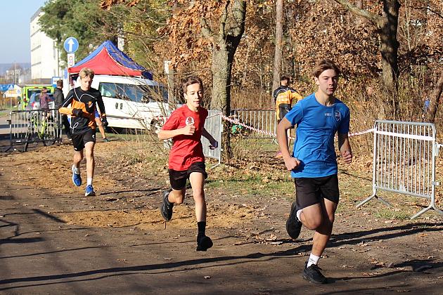 Świętowanie niepodległości na sportowo – 240 uczestników w Biegu o Grand Prix Lęborka