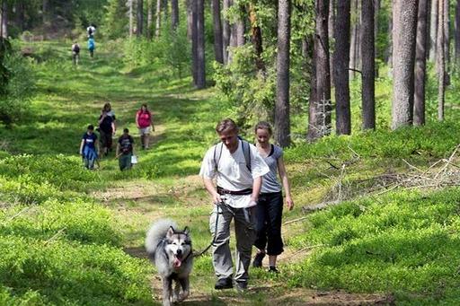 Zawody Dogtrekkingu – po raz pierwszy w Lęborku
