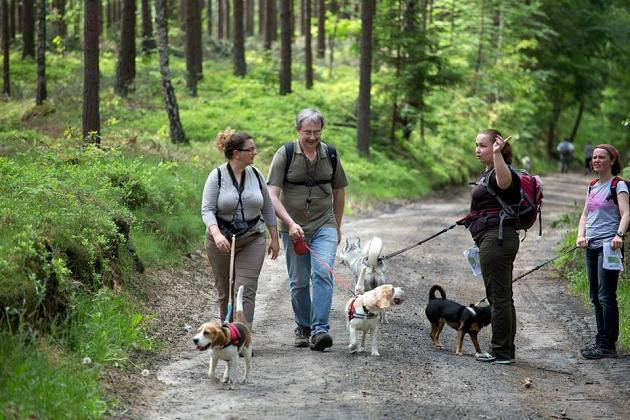 Zawody Dogtrekkingu – po raz pierwszy w Lęborku