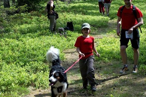 Zawody Dogtrekkingu – po raz pierwszy w Lęborku