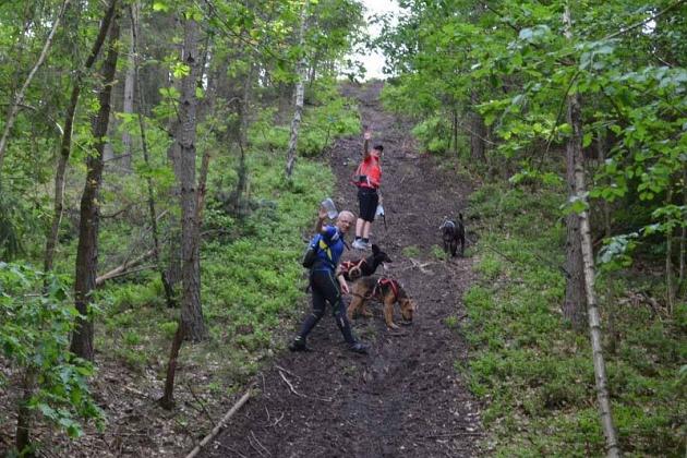 Zawody Dogtrekkingu – po raz pierwszy w Lęborku