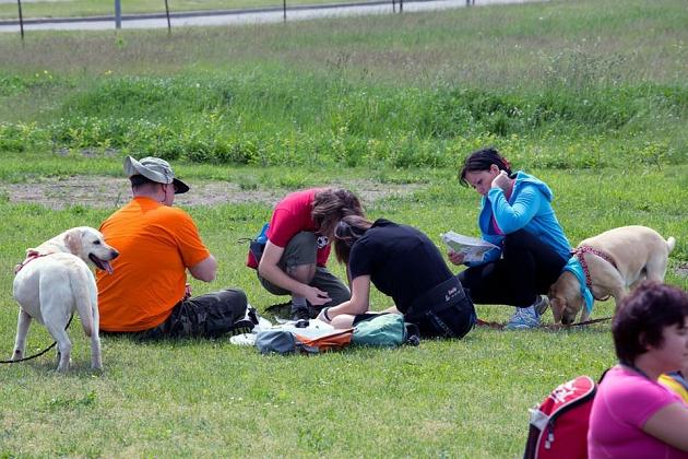 Zawody Dogtrekkingu – po raz pierwszy w Lęborku