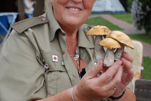 15-lecie Harcerskiego Kręgu Seniorów „Dęby”