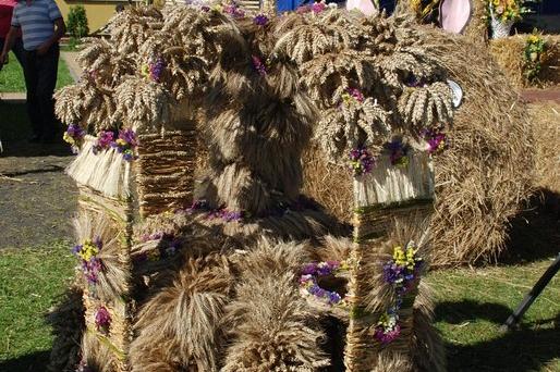 Powiatowe święto plonów