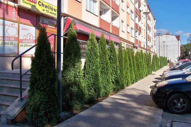 Przebudowa Placu Pokoju