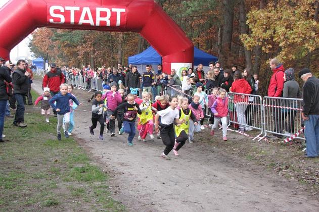 Lębork uczcił 96 rocznicę odzyskania niepodległości