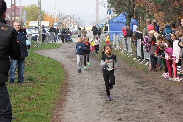 Lębork uczcił 96 rocznicę odzyskania niepodległości