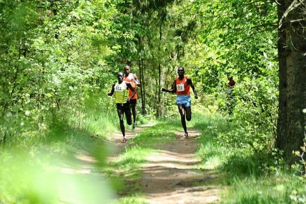 Rekordowe wyniki w obliwickim biegu