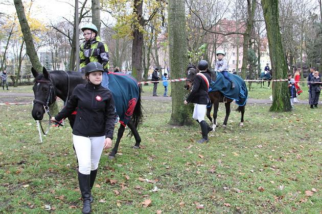 Lębork świętował Narodowe Święto Niepodległości