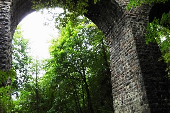 Pieszo i rowerowo z okazji Europejskiego Dnia bez Samochodu