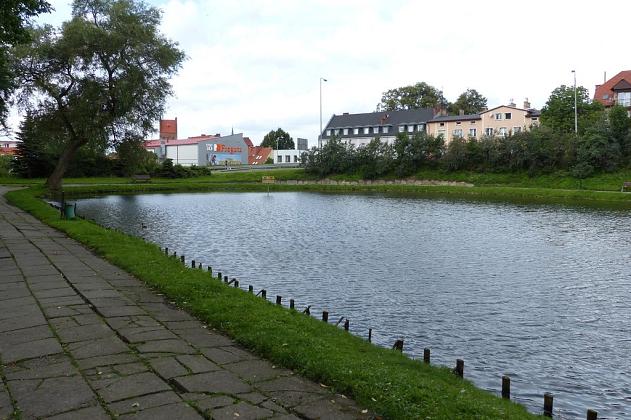 Zielony Lębork. Miasto pozyskało 2,35 mln zł dotacji na tereny zielone