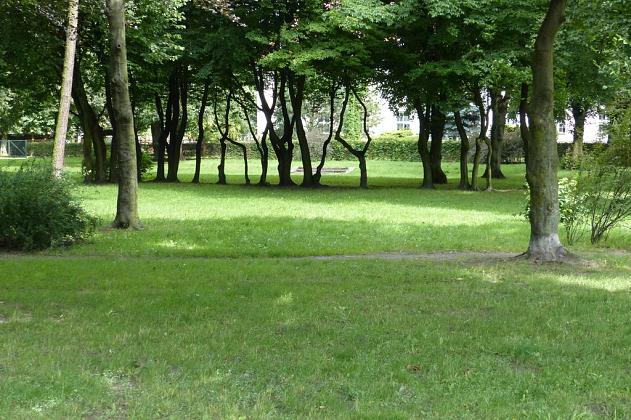 Zielony Lębork. Miasto pozyskało 2,35 mln zł dotacji na tereny zielone