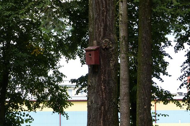 Zielony Lębork. Miasto pozyskało 2,35 mln zł dotacji na tereny zielone