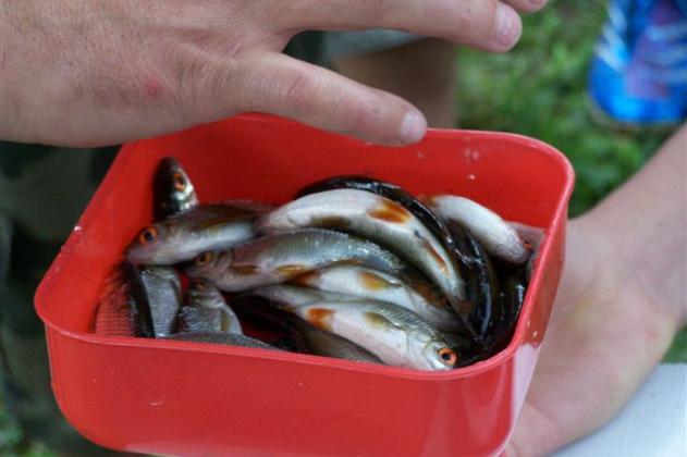 Bezpieczne Wakacje z wędką